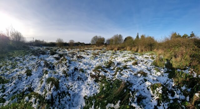 Snowy field.