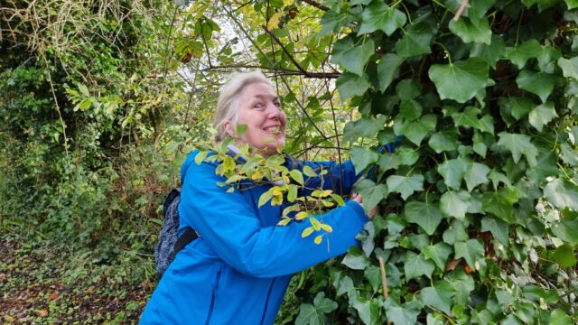 A woman with white hair, wearing a blue coat, grins maniacally as she reaches deep into an ivy-covered tree.