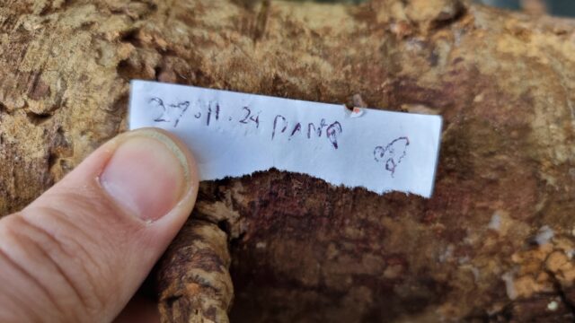 Dan's name and today's date scrawled on a torn-off piece of a bus ticket, atop of log.