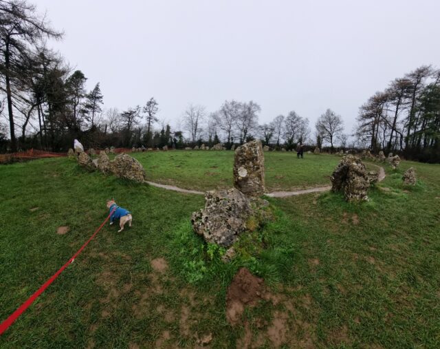 A stone circle in the rain. Some people (and a dog) are walking around it.