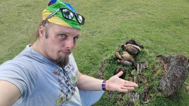 Dan, wearing his sunglasses on top of his bandana, looking hot and grumpy, crouches by a tree stump with coconut husks atop it.