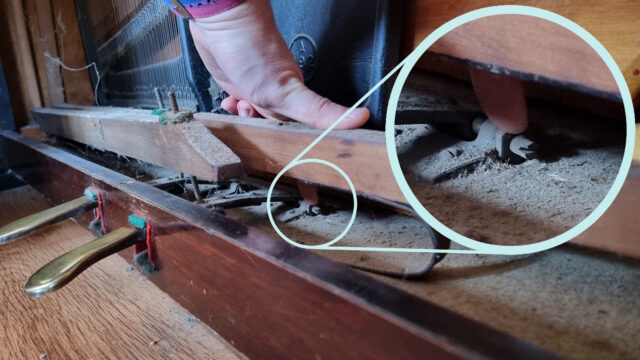 Behind the lower front board of an open upright piano, a hand reaches in between the pedal rods and the soundboard to point at the hinge screw of the sustain pedal.