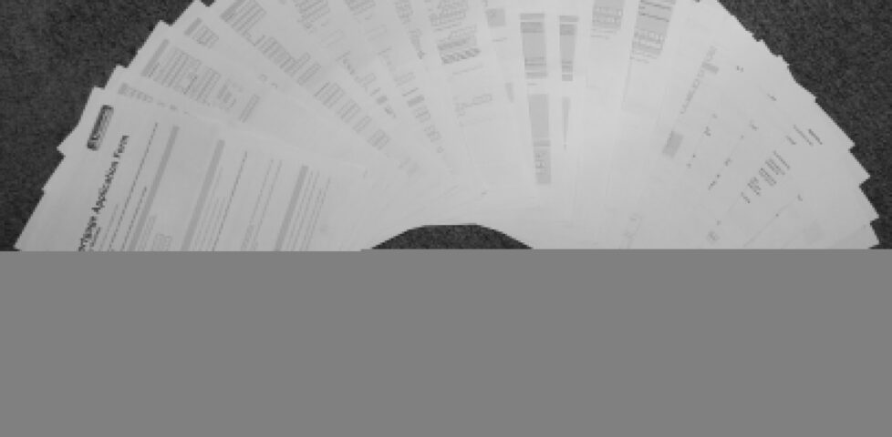 A 22-page form; each page is double-sided for added insanity.