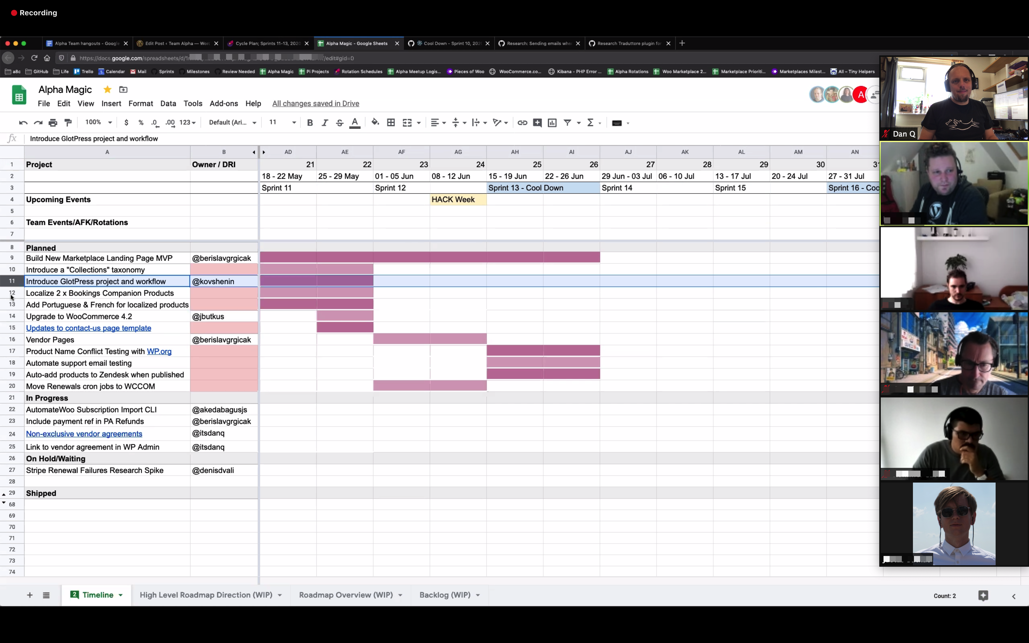 Full image of Alpha project planning meeting via Zoom.