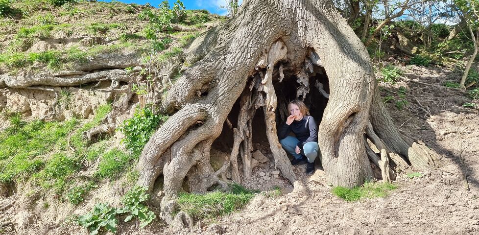 Under the gnarly roots of a large tree, a small boy eats a Cornetto.