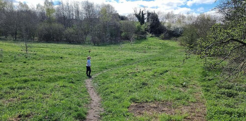 A boy runs ahead into a grassy meadow.