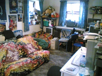 Tidy living room/Troma Night space at The Flat