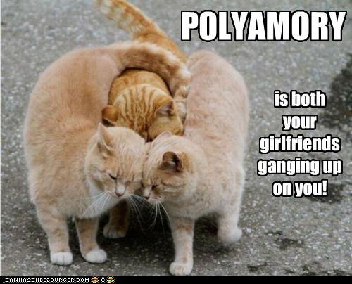 Polyamory is both your girlfriends ganging up on you.