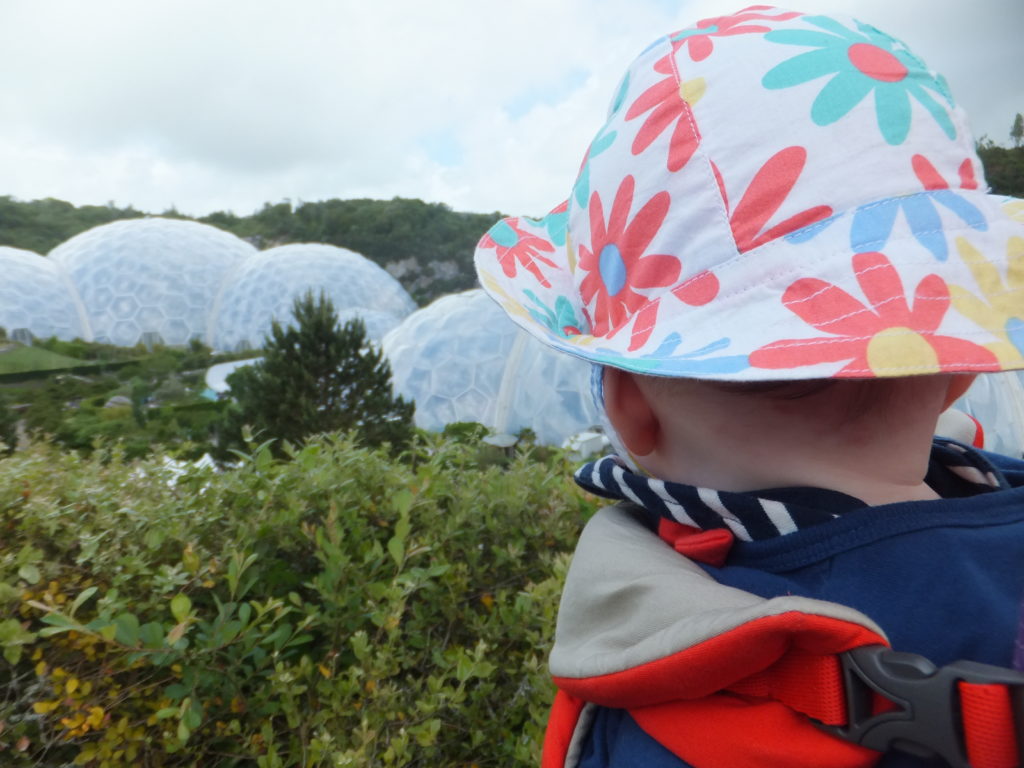 Annabel looks out over the Eden Project