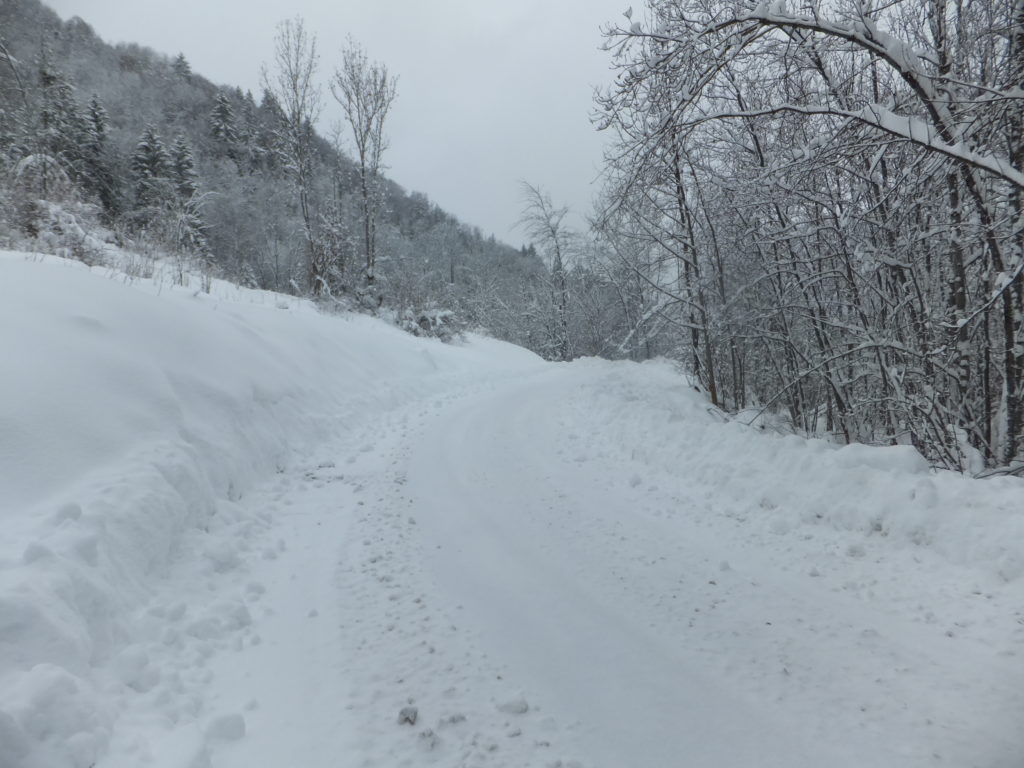 A family of Luxembourgers were trying to drive up this road as I came back across it, on my way back. Their wheels span as they failed to get traction. I noted that all of the local cars, parked in the village, had snow chains.
