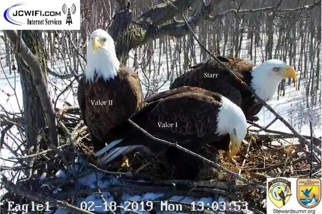 Eagle1 webcam showing Starr with Valor I and Valor II