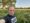 Selfie of Dan standing by a tree in a freshly-mowed cornfield.