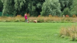 A girl runs with a small dog on a lead.