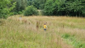Children run away into a meadow.