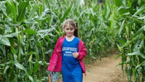 A girl looks lost in a maize maze.