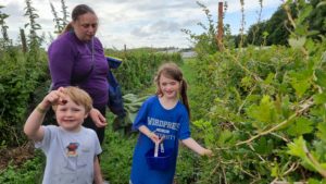 Ruth and the children pick gooseberries.
