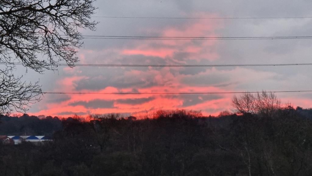 A red, pink and grey sunrise behind power lines and bare trees.