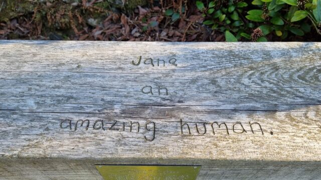 Top of a simple wooden bench; an attached brass plaque on the front side can be seen, but is illegible from this angle. But on the top, somebody has carved "Jane an amazing human."
