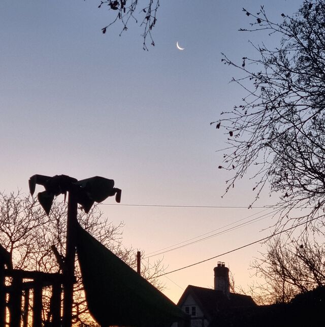 A silver sliver of a crescent moon in the indigo part of a colourful autumn sunrise framed between spindly tree branches above and roofs below.
