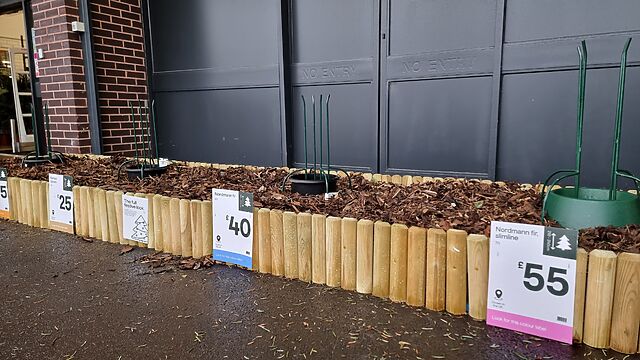 Display bed of Christmas trees outside a hardware store except each pot, labelled with its species and approximate height, is empty.