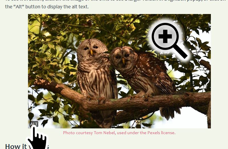 [Article] CSS Lightbox with Alt Text Viewer