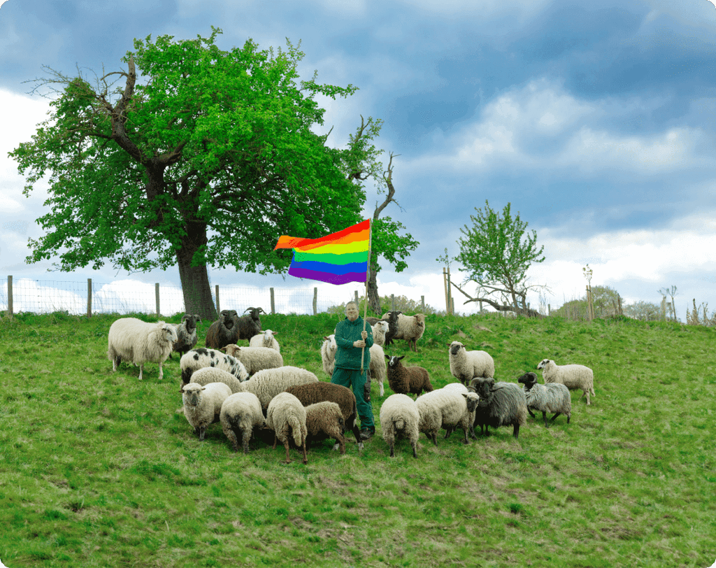 [Repost] Gay sheep – what the FAQ?!