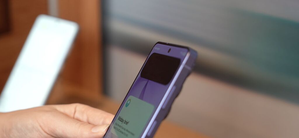 [Article] What can you do with a software privacy polariser?