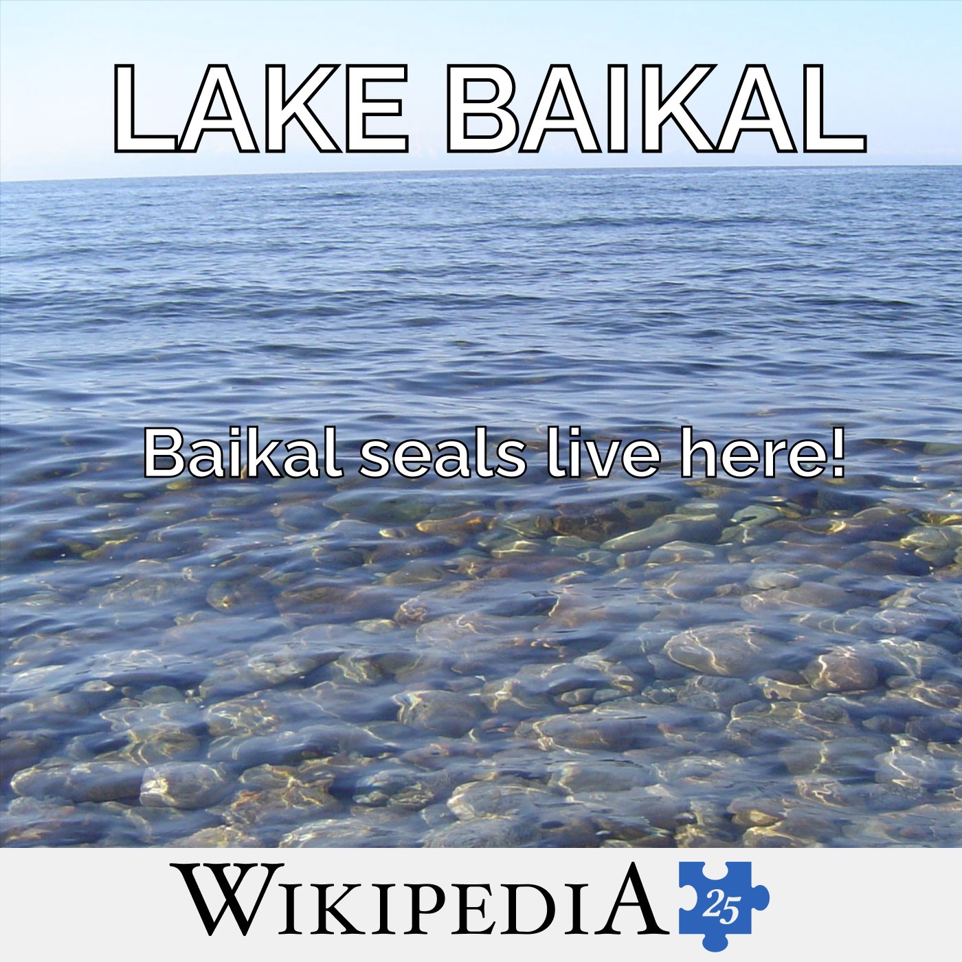 Wikipedia @ 25: Lake Baikal episode artwork